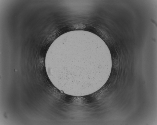 X0000097660321200803280956