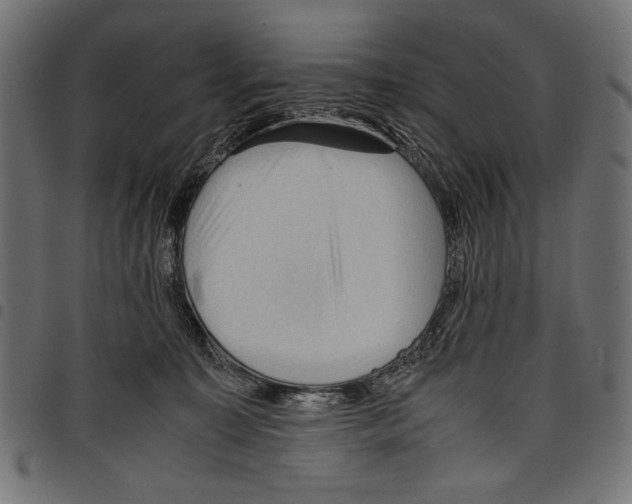 X0000097660323200803280956