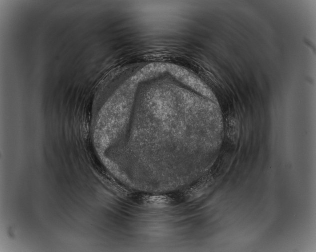 X0000097660324200803280956