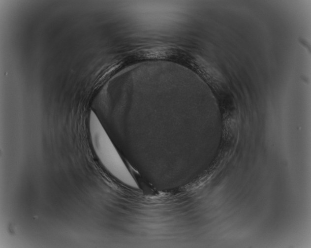 X0000097660325200803280956