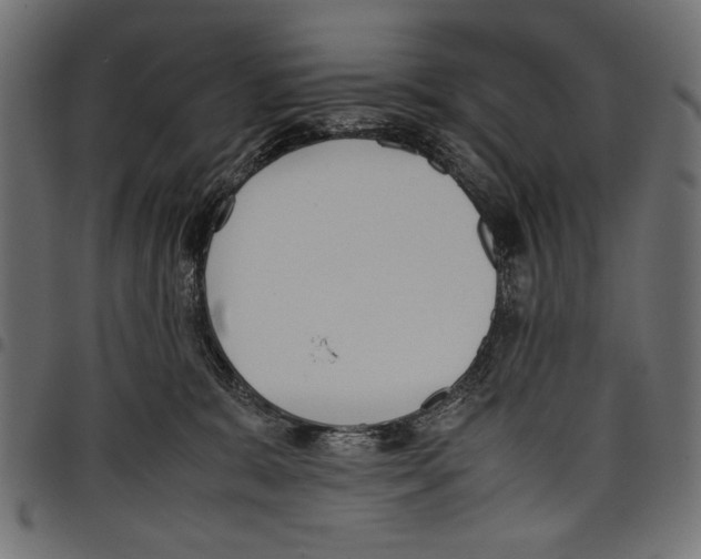 X0000097660327200803280956