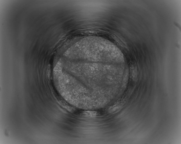 X0000097660328200803280956