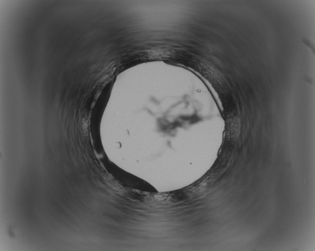 X0000097660329200803280956