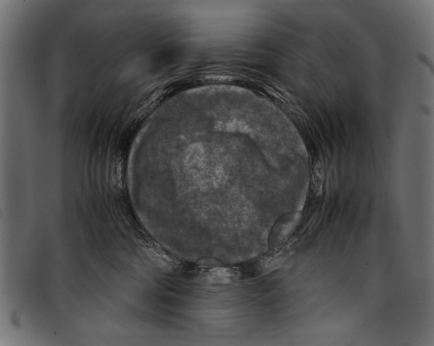 X0000097660330200803280956