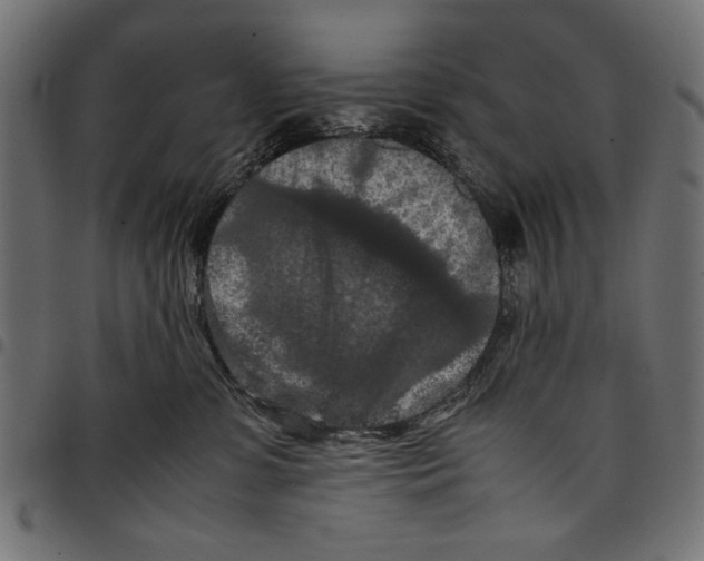 X0000097660331200803280956