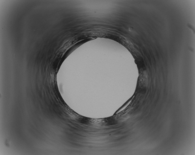 X0000097660333200803280956