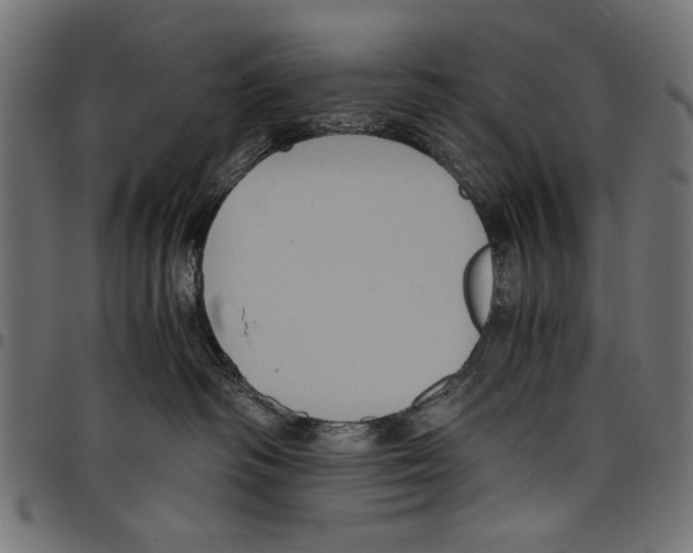 X0000097660334200803280956