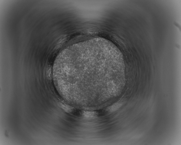 X0000097660336200803280956