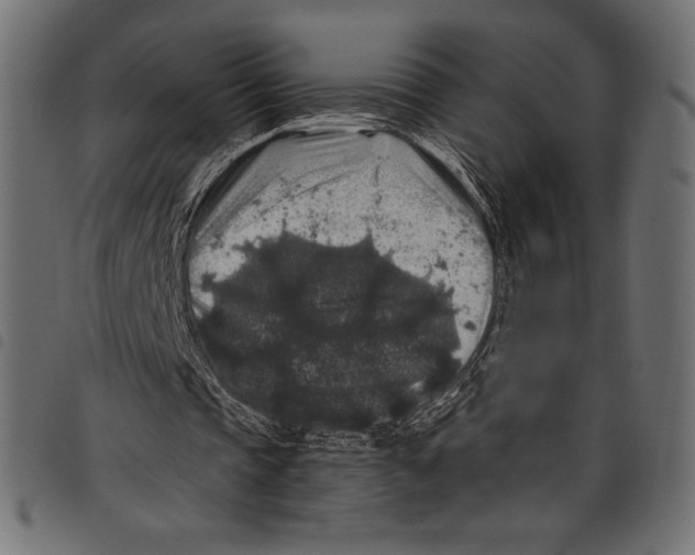 X0000097660337200803280955