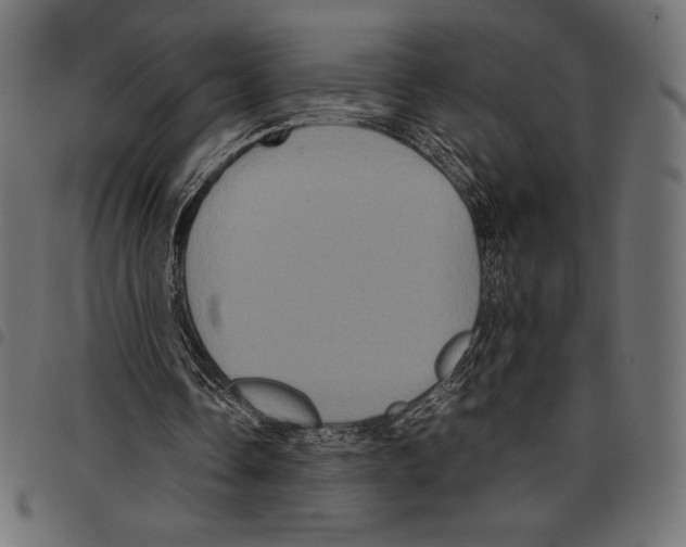 X0000097660338200803280955