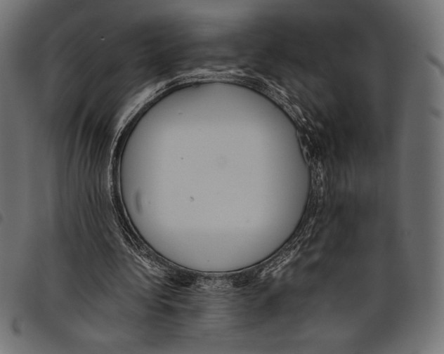 X0000097660340200803280955