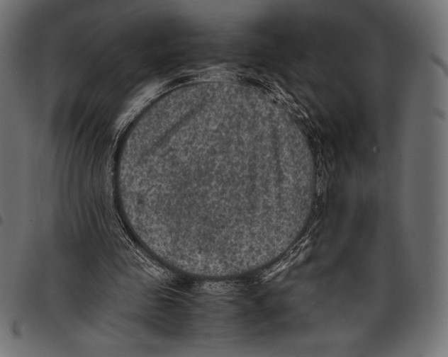 X0000097660341200803280955
