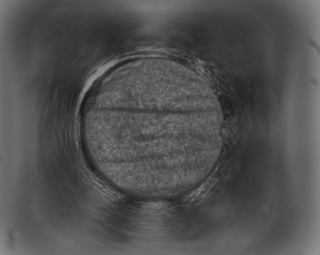 X0000097660342200803280955