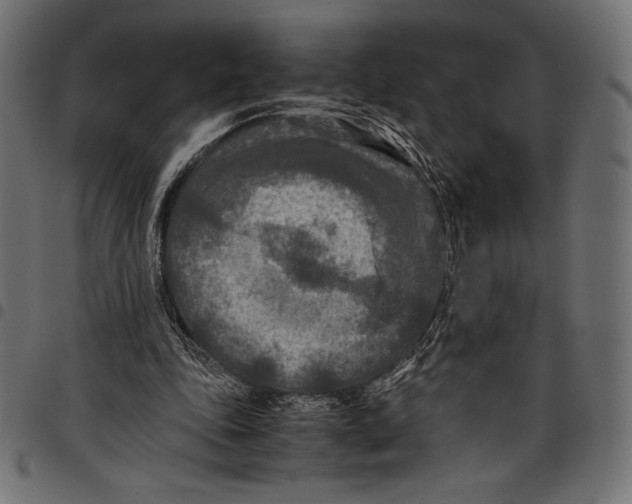 X0000097660343200803280955