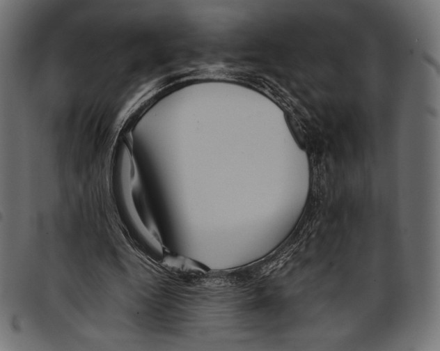 X0000097660344200803280955