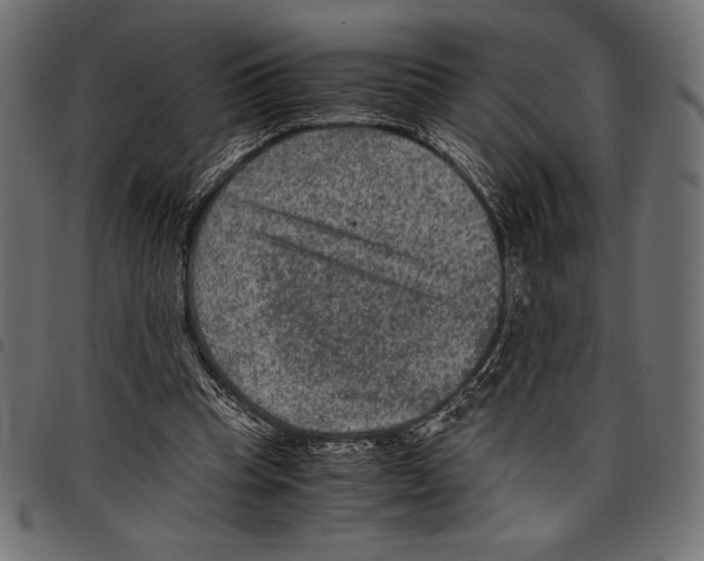 X0000097660345200803280956