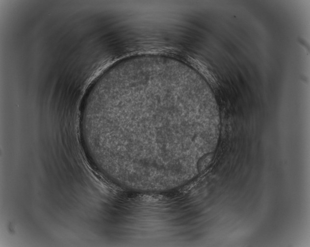 X0000097660346200803280956