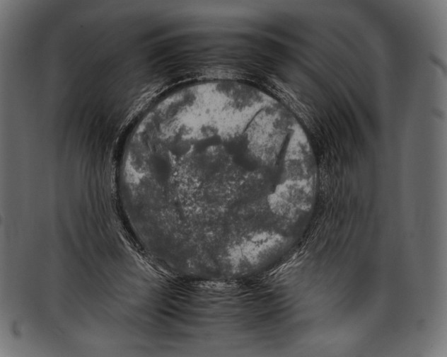 X0000097660347200803280956