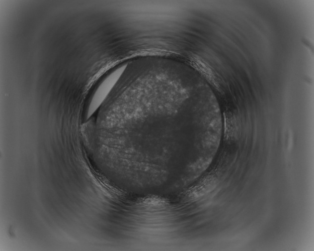 X0000097660348200803280956