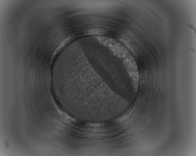 X0000097660349200803280956