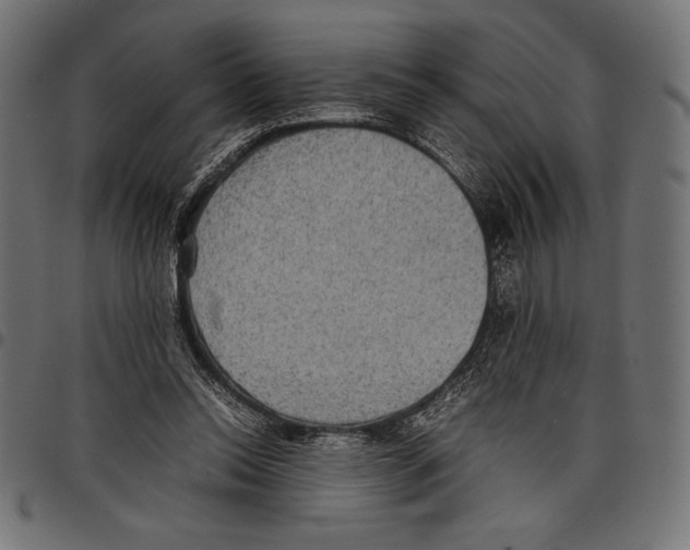 X0000097660350200803280956