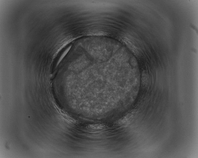 X0000097660351200803280956