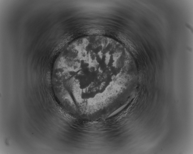 X0000097660353200803280956