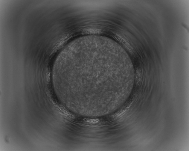 X0000097660355200803280956