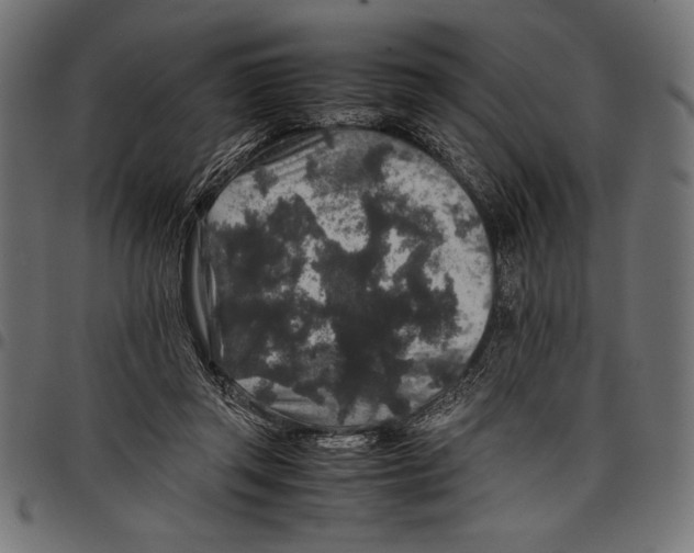 X0000097660357200803280956