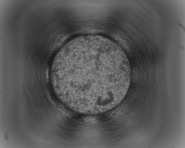 X0000097660358200803280956