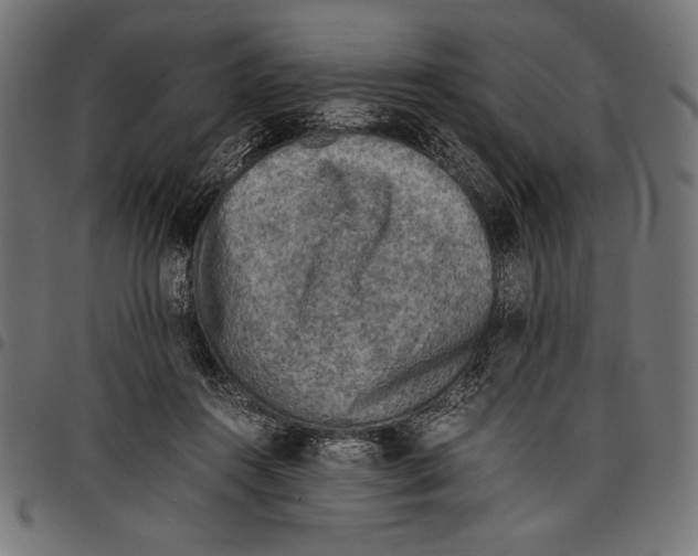 X0000097660360200803280956