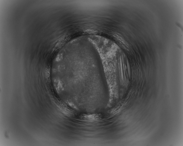 X0000097660365200803280956