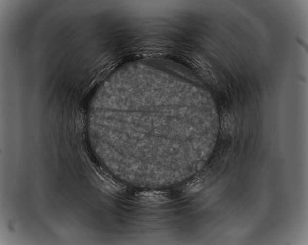 X0000097660367200803280956