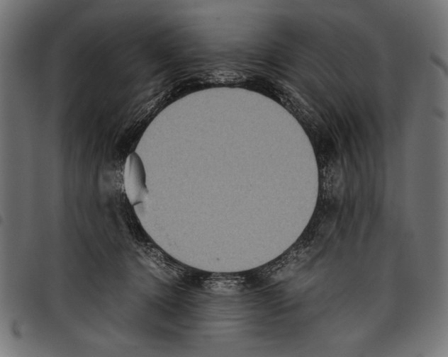 X0000097660368200803280956