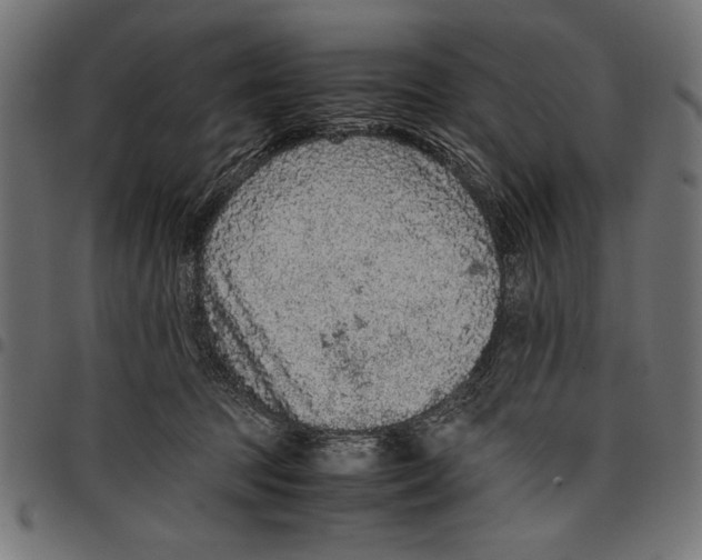 X0000097660369200803280956