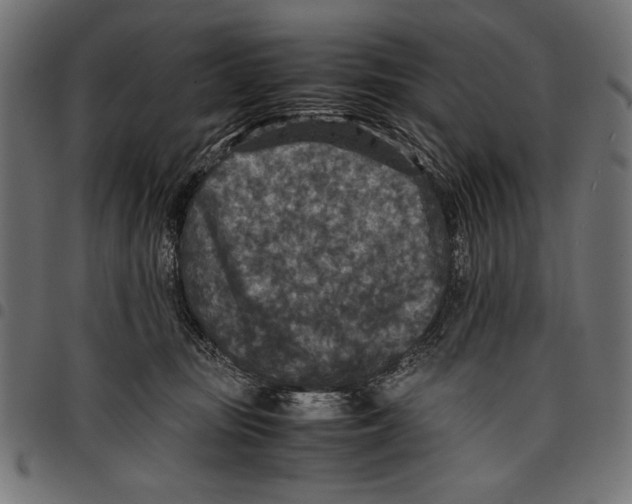 X0000097660371200803280956