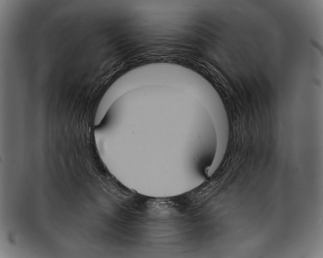 X0000097660372200803280956