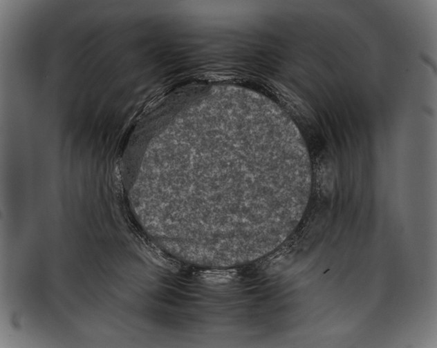 X0000097660373200803280956