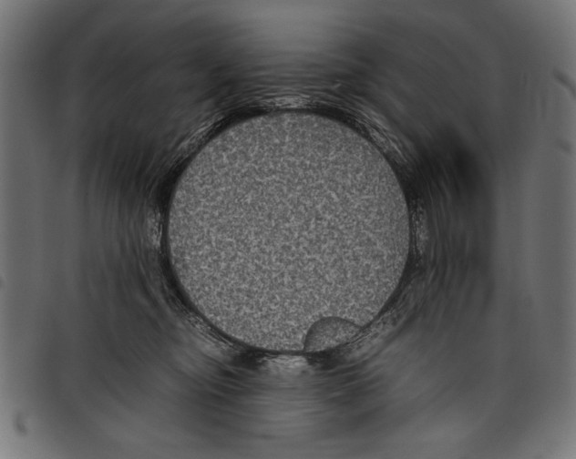 X0000097660374200803280956