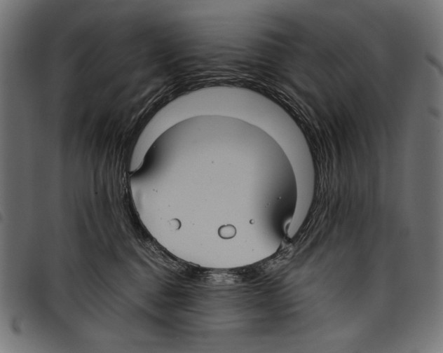 X0000097660376200803280956