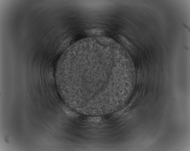 X0000097660377200803280956