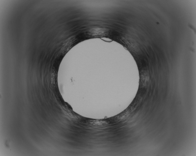 X0000097660379200803280956