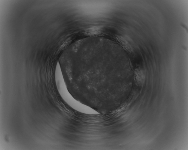 X0000097660380200803280956
