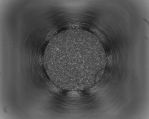 X0000097660381200803280956