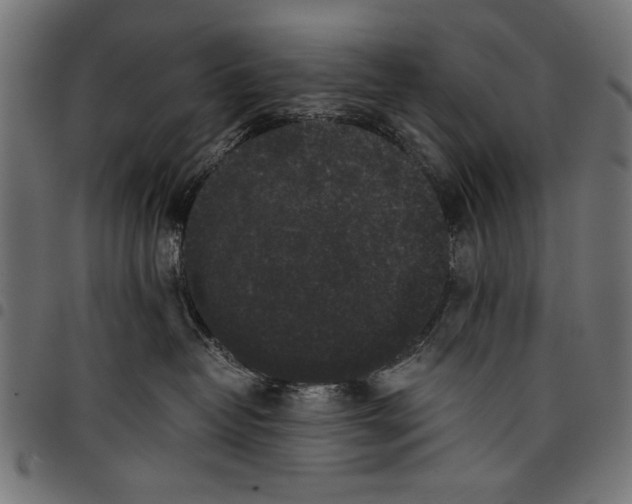 X0000097660382200803280956