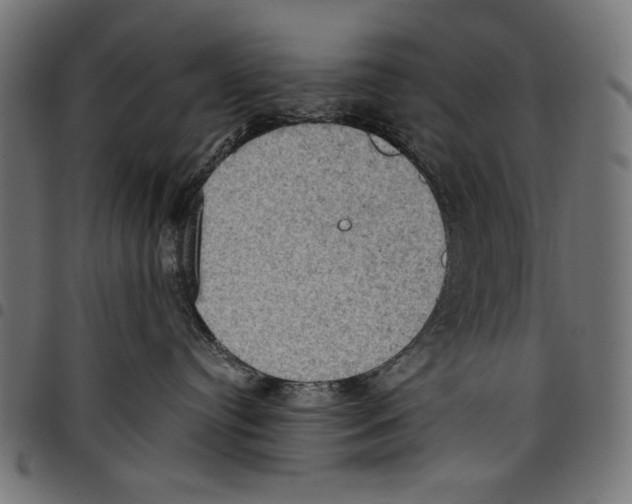 X0000097660384200803280956