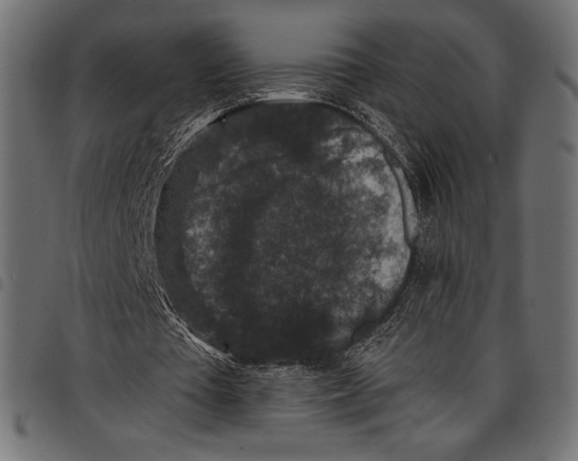 X0000097660385200803280955