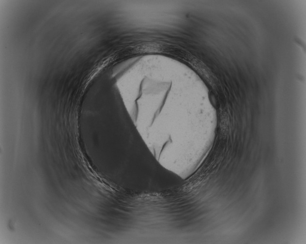 X0000097660386200803280955