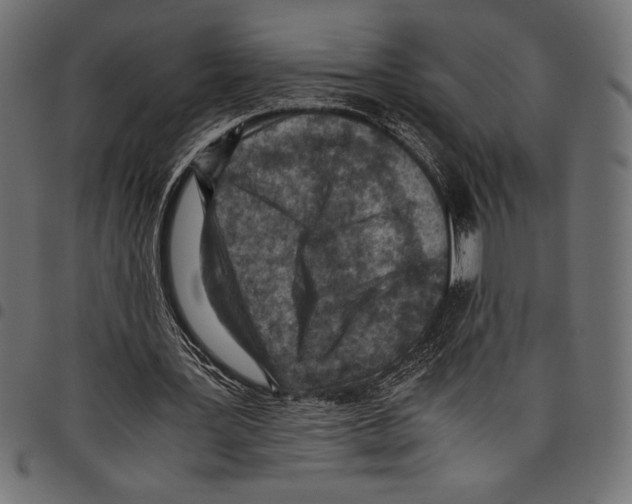 X0000097660387200803280955