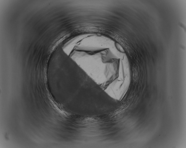 X0000097660390200803280955